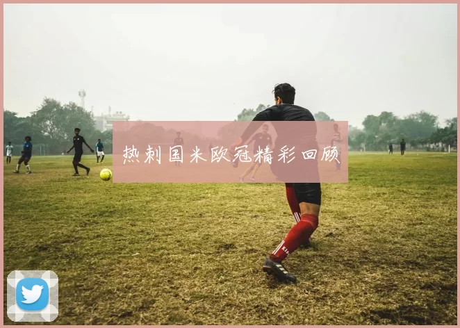 热刺国米欧冠精彩回顾