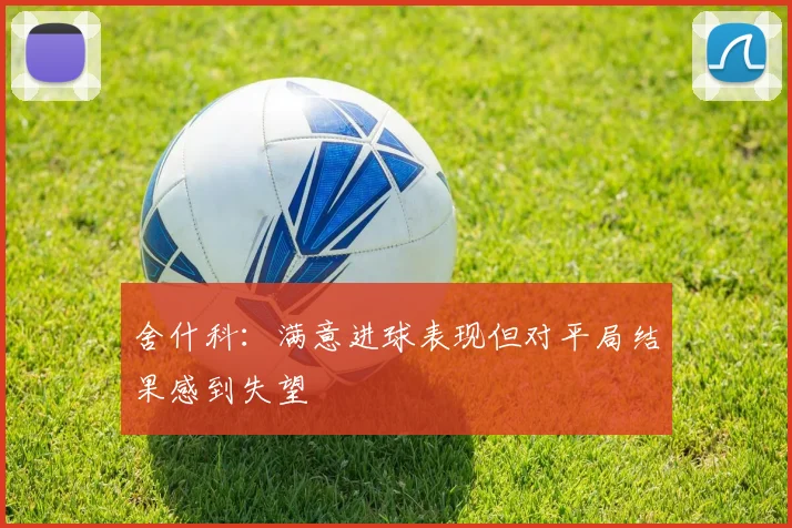 舍什科：满意进球表现但对平局结果感到失望