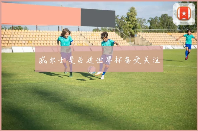 威尔士是否进世界杯备受关注