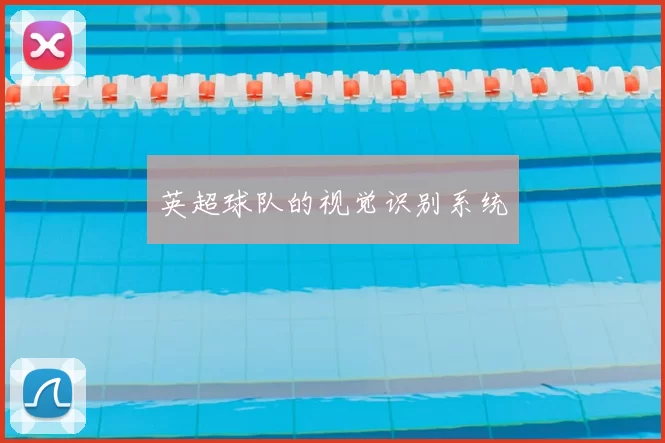 英超球队的视觉识别系统