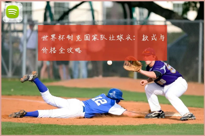 世界杯耐克国家队让球衣：款式与价格全攻略