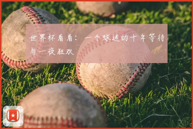 世界杯看看：一个球迷的十年等待与一夜狂欢