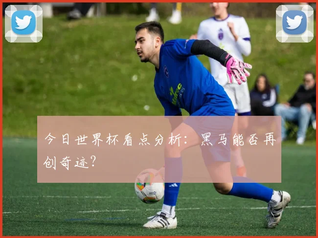 今日世界杯看点分析：黑马能否再创奇迹？