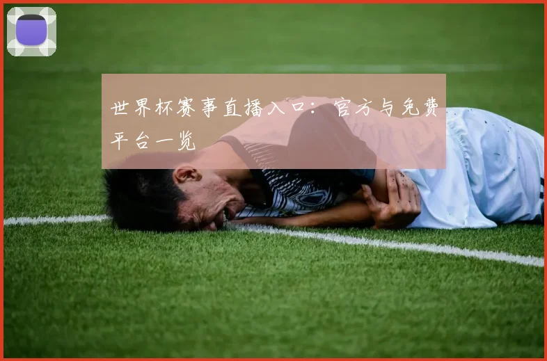 世界杯赛事直播入口：官方与免费平台一览