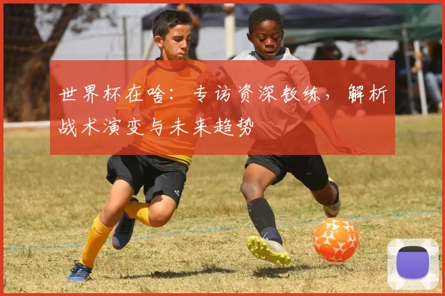 世界杯在啥：专访资深教练，解析战术演变与未来趋势