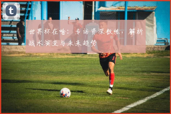 世界杯在啥：专访资深教练，解析战术演变与未来趋势