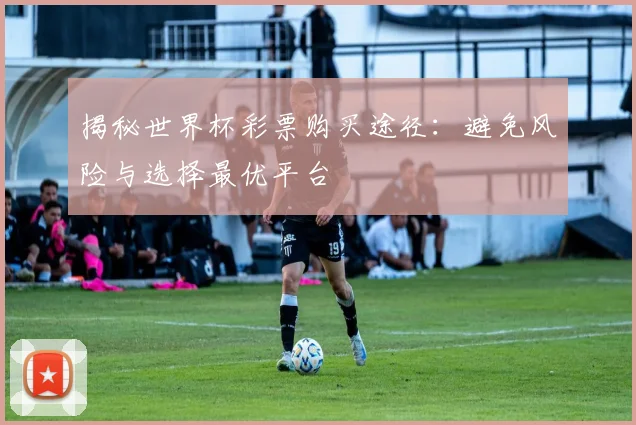 揭秘世界杯彩票购买途径：避免风险与选择最优平台