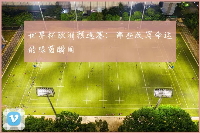 世界杯欧洲预选赛：那些改写命运的绿茵瞬间