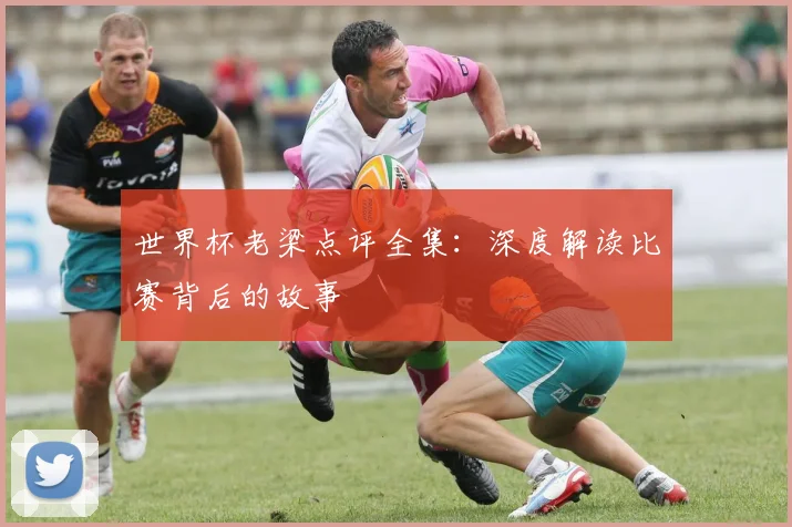 世界杯老梁点评全集：深度解读比赛背后的故事